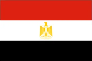 Egypt National Flag Printed