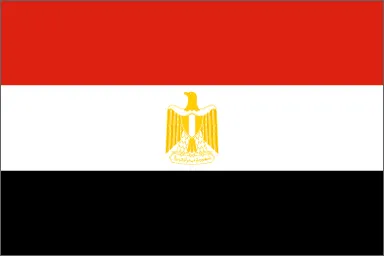 Egypt National Flag Printed