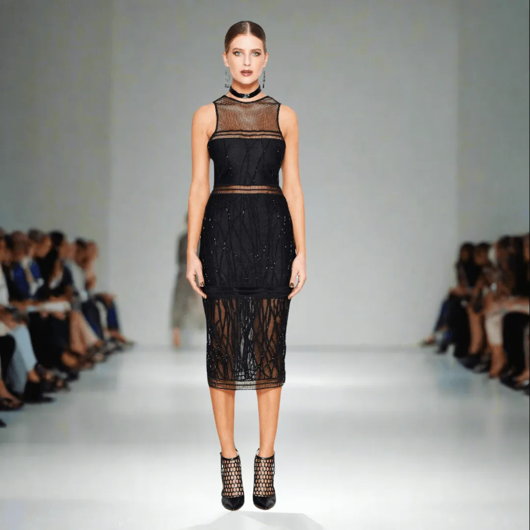 Hand Embroidered Mesh Midi Dress