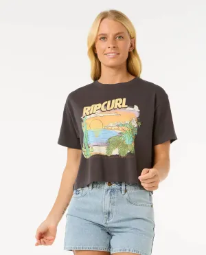 La Paloma Crop T-Shirt in Washed Black