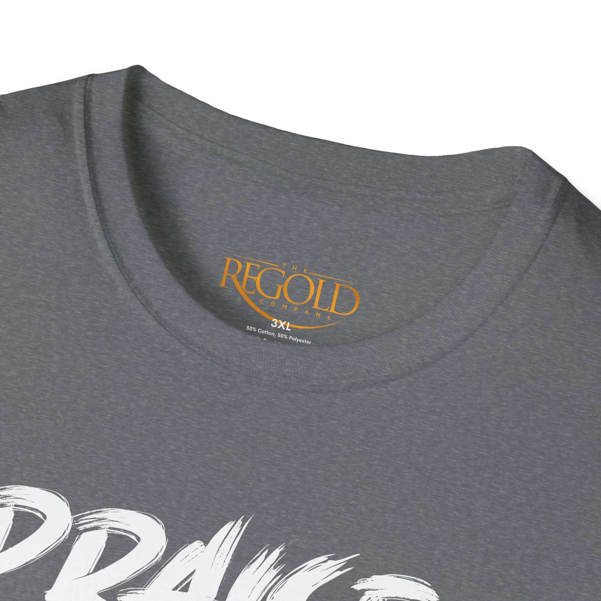 Praise Him Anyway Unisex T-Shirt