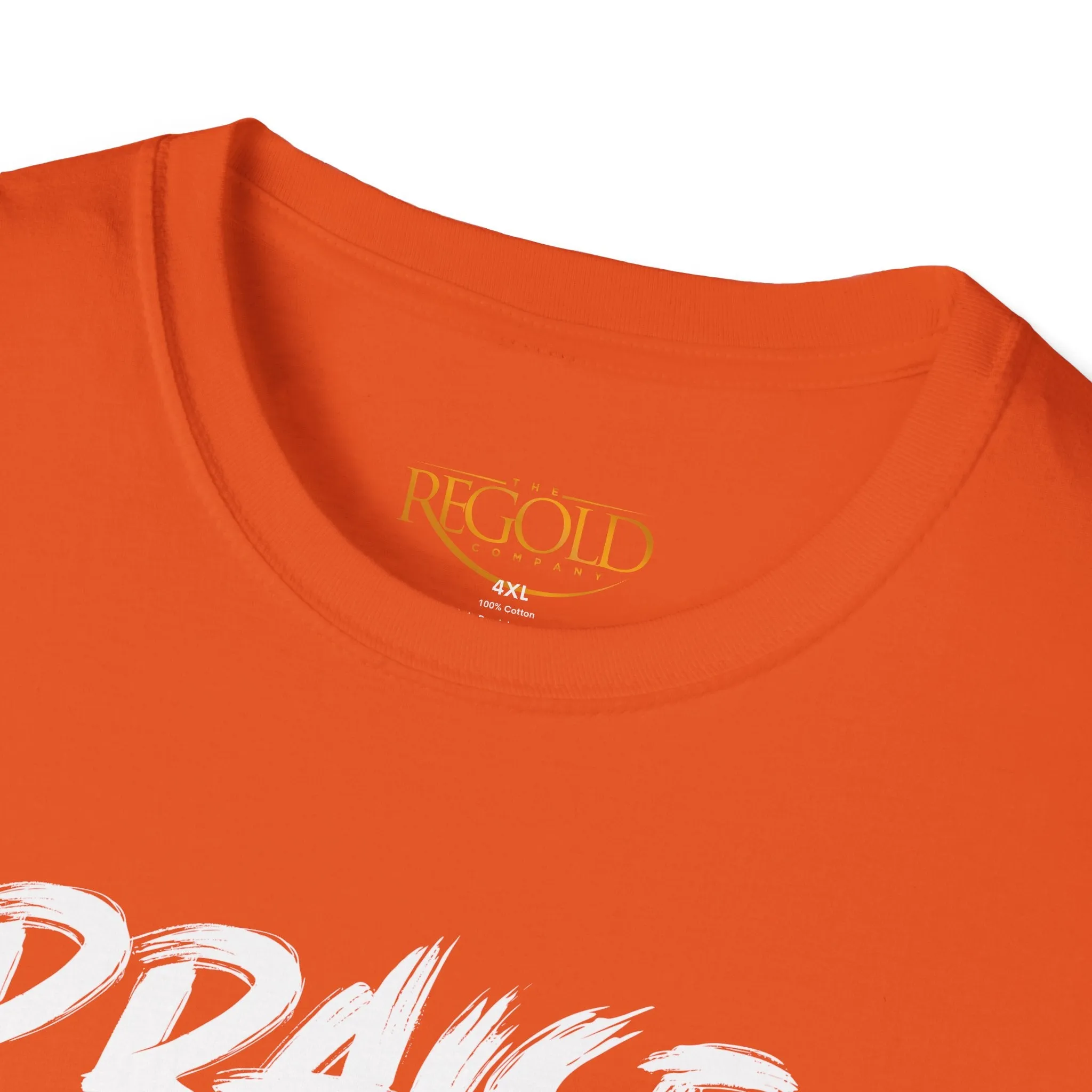 Praise Him Anyway Unisex T-Shirt